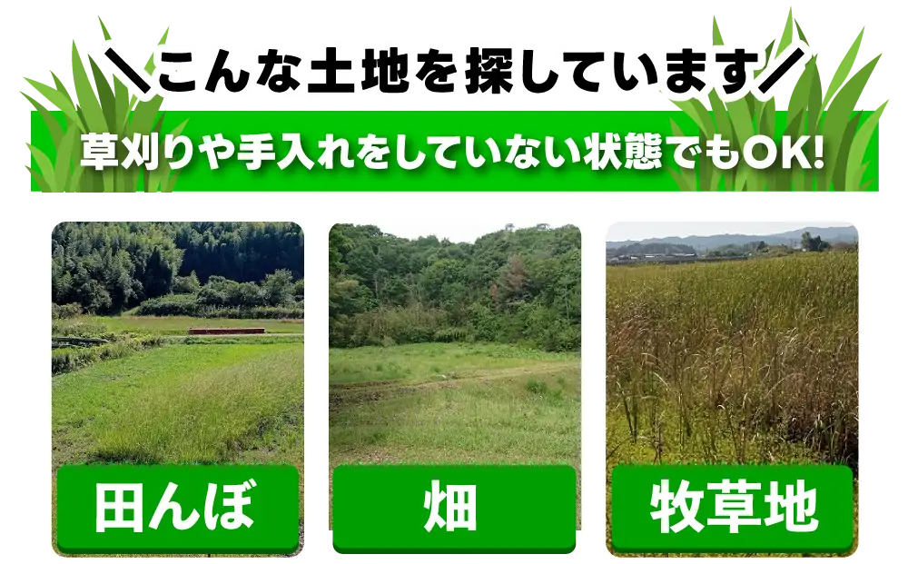 こんな土地を探しています　草刈りや手入れをしていない状態でもOK　田んぼ　畑　牧草地